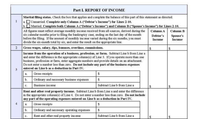 Amazing Daycare Income Statement Template