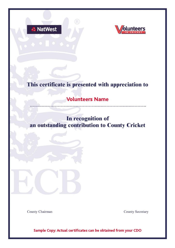 Cricket Volunteer Certificate Template - Pdf Format | E throughout Outstanding Volunteer Certificate Template