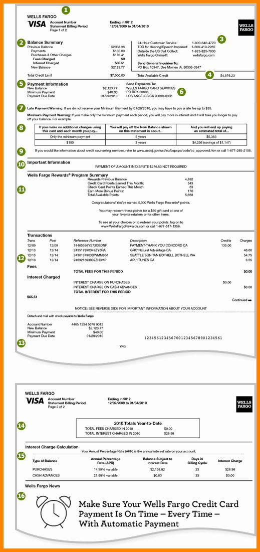 Free Credit Card Statement Template