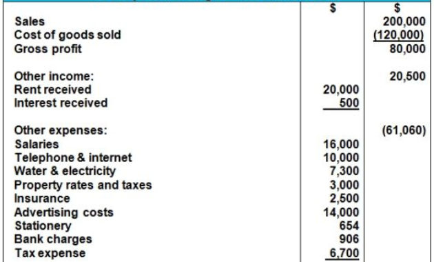 Free Income Statement For Manufacturing Company Template