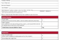 Free Independent Contractor Profit And Loss Statement Template