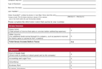 New Home Business Profit And Loss Statement Template