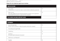 New Independent Contractor Profit And Loss Statement Template