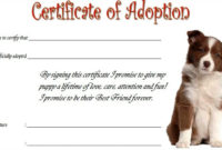 Pet Adoption Certificate Template Free: 10+ Best 2020 Ideas in Dog Adoption Certificate Template