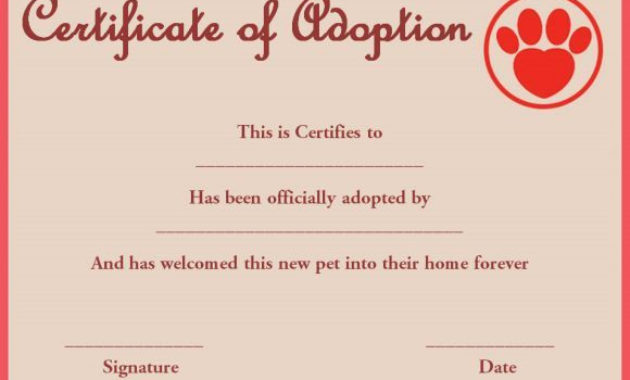 Pet Rock Adoption Certificate Template | Adoption for Stuffed Animal Adoption Certificate Editable Templates