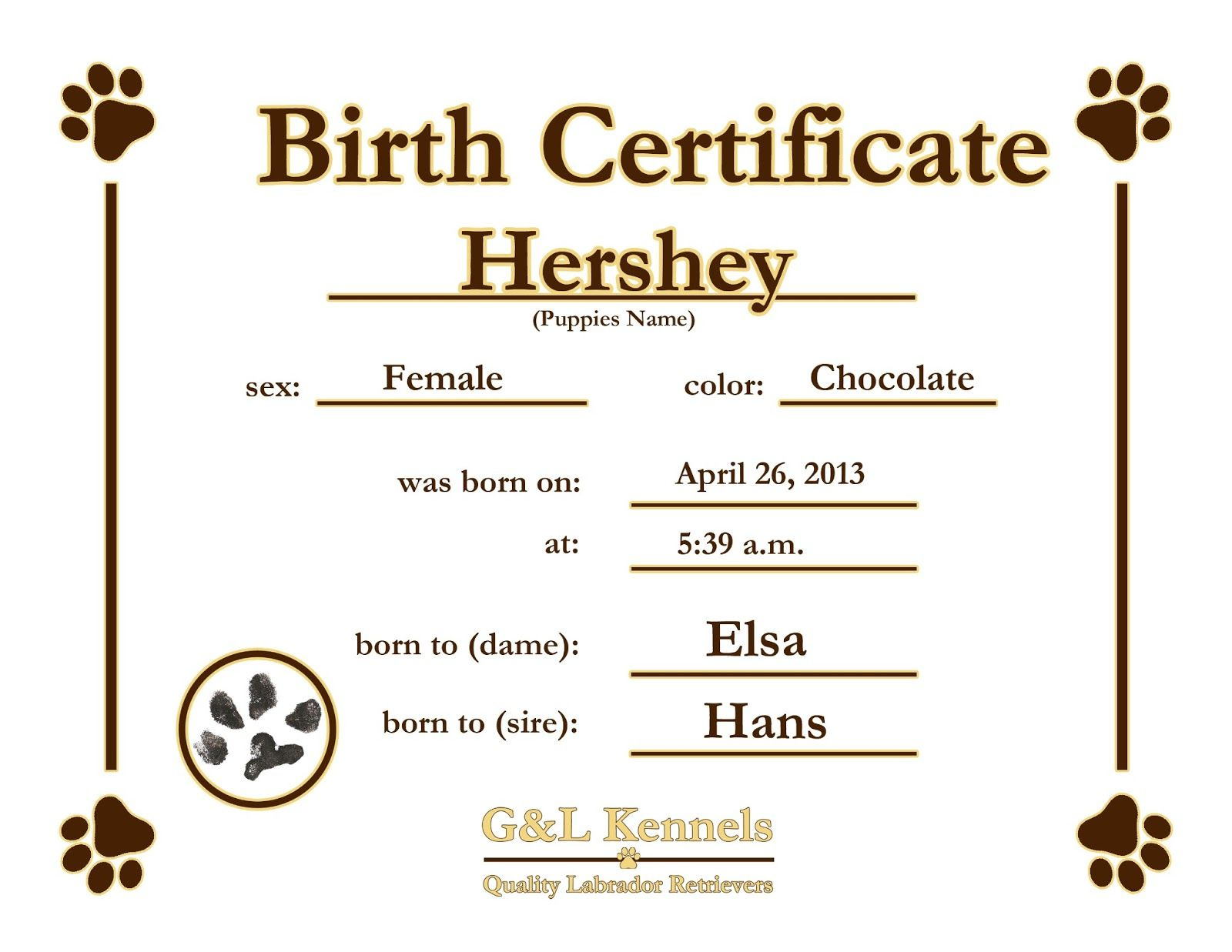 Pin Dog Birth Certificate Template Puppy Certificates On in Stunning Cute Birth Certificate Template