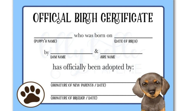 Printable Dachshund Birth Certificate | Dog Adoption pertaining to Puppy Birth Certificate Template