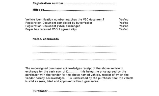 Professional Auto Financing Contract Template
