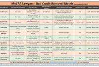 Professional Credit Repair Contract Agreement