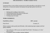 Professional Delivery Driver Contract Template