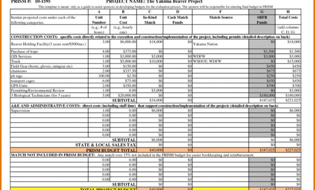 Professional Project Cost Estimate And Budget Template