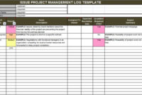 Professional Project Management Issues Log Template
