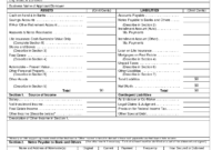 Professional Statement Of Assets And Liabilities Template