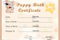 Puppies Vet Visit (06/21/2013) | Birth Certificate with Rabbit Birth Certificate Template Free 2019 Designs