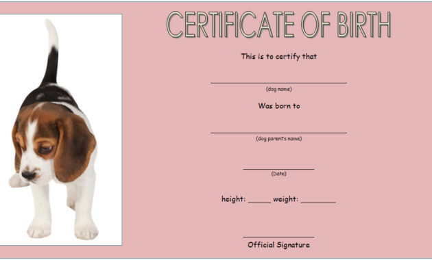 Puppy Birth Certificate Template - 10+ Special Editions throughout Fascinating Sobriety Certificate Template 7 Fresh Ideas Free