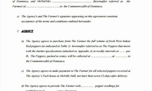 Simple Film Production Agreement Contract Template