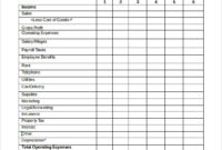 Simple Projected Financial Statement Template