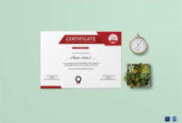 Soccer Certificate - 13+ Word, Psd, Ai, Indesign Format throughout Soccer Achievement Certificate Template