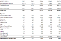 Stunning Annual Income Statement Template