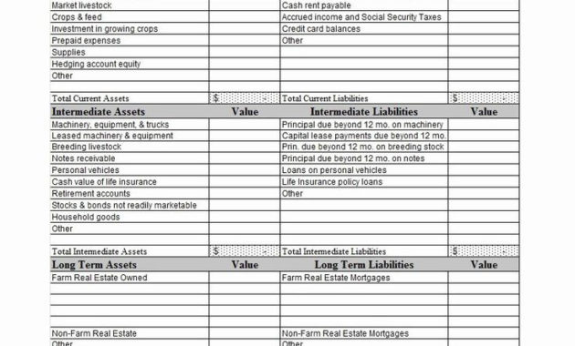 Stunning Balance Sheet And Income Statement Template