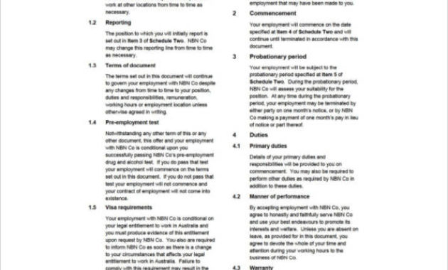 Stunning Ceo Employment Contract Template