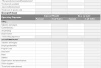 Stunning Projected Income Statement Template