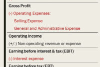 Stunning Statement Of Functional Expenses Template