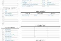Top Home Health Care Daily Log Template