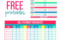 Amazing Budget Book Planner Template Free