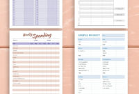 Amazing Budget Planner 2021 Template