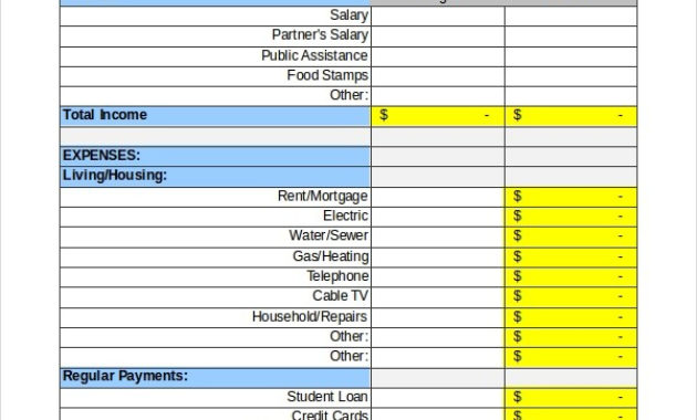 Amazing Personal Budget Planner Template