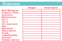 Fantastic Budget Spreadsheet Template Download