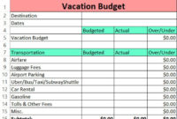 New Tiktok Budget Planner Template