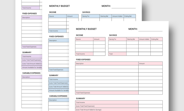 Professional Budget Planner Free Template