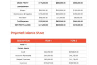Professional Budget Planner Template Google Docs
